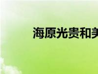 海原光贵和美琴（今日海原光贵）
