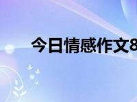 今日情感作文800字（今日情感作文）