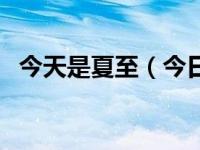 今天是夏至（今日夏至未至的结局是什么）