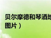贝尔摩德和琴酒地位（今日贝尔摩德和琴酒睡图片）