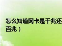 怎么知道网卡是千兆还是百兆（今日怎么看网卡是千兆还是百兆）