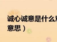 诚心诚意是什么意思啊?（今日诚心诚意什么意思）