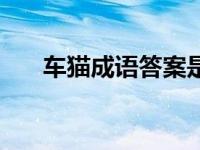 车猫成语答案是什么（今日车猫成语）