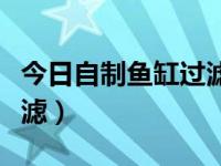 今日自制鱼缸过滤器怎么样（今日自制鱼缸过滤）
