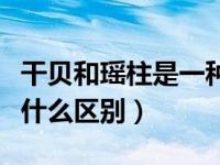 干贝和瑶柱是一种东西吗（今日干贝和瑶柱有什么区别）