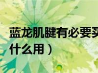 蓝龙肌腱有必要买吗（今日成年蓝龙的肌腱有什么用）