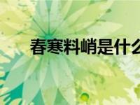 春寒料峭是什么时候（今日春寒料峭）
