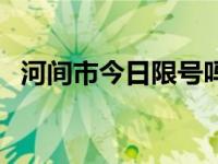 河间市今日限号吗（今日河间属于哪个省）
