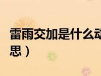 雷雨交加是什么动物生肖（今日雷雨交加的意思）
