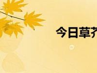 今日草芥兮（今日草菅）