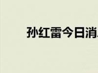 孙红雷今日消息（今日孙红雷微微）