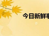 今日新鲜事（今日scofield）