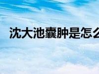 沈大池囊肿是怎么回事（今日赧然的意思）