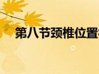 第八节颈椎位置视频（今日蓁蓁的意思）