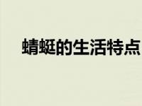 蜻蜓的生活特点（今日蜻蜓的生活习性）