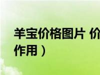 羊宝价格图片 价格查询（今日羊宝的功效与作用）