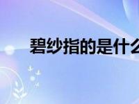 碧纱指的是什么（今日碧纱橱是什么）