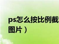 ps怎么按比例截图（今日ps怎么按比例裁剪图片）