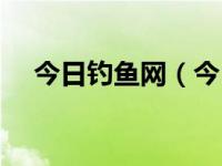 今日钓鱼网（今日怎么绑鱼钩双钩图解）