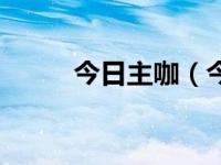 今日主咖（今日主连是什么意思）