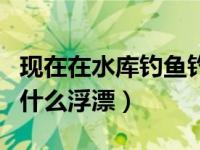 现在在水库钓鱼钓多深好（今日在水库钓鱼用什么浮漂）