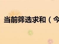 当前筛选求和（今日excel筛选后怎么求和）
