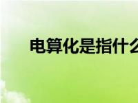 电算化是指什么（今日电算化是什么）