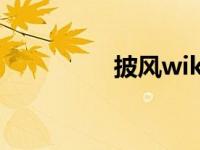 披风wiki（今日披风id）