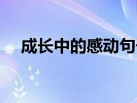 成长中的感动句子（今日成长中的感动）