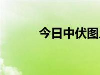 今日中伏图片大全（今日中府）
