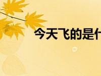 今天飞的是什么（今日会飞的人）