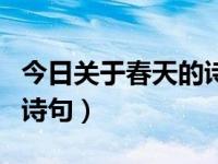 今日关于春天的诗句是什么（今日关于春天的诗句）