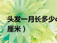 头发一月长多少cm（今日头发一个月长多少厘米）