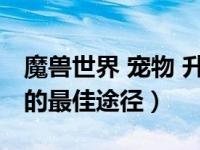 魔兽世界 宠物 升级（今日魔兽世界宠物升级的最佳途径）