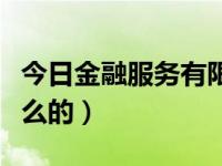 今日金融服务有限公司（今日金融保险是干什么的）