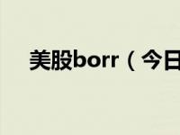 美股borr（今日美国bond是什么意思）