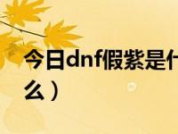 今日dnf假紫是什么颜色（今日dnf假紫是什么）
