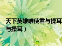 天下英雄唯使君与操耳使君什么意思（今日天下英雄唯使君与操耳）