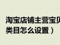淘宝店铺主营宝贝在哪里设置（今日淘宝主营类目怎么设置）