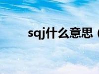 sqj什么意思（今日SQ是什么意思）