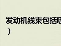 发动机线束包括哪些（今日什么是发动机线束）
