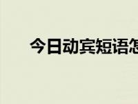 今日动宾短语怎么写（今日动宾短语）