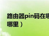 路由器pin码在哪里找（今日路由器pin码在哪里）