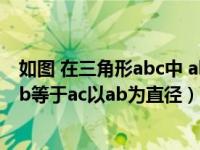如图 在三角形abc中 ab等于ac（今日如图在三角形abc中ab等于ac以ab为直径）