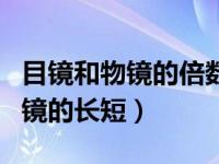 目镜和物镜的倍数与长短关系（今日目镜和物镜的长短）
