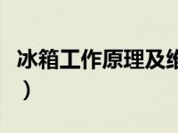 冰箱工作原理及维修大全（今日冰箱工作原理）