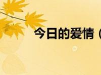 今日的爱情（今日爱的供养简谱）