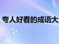 夸人好看的成语大全（今日夸人好看的成语）