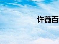 许薇百科（今日许薇）