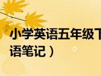 小学英语五年级下册笔记（今日五年级下册英语笔记）